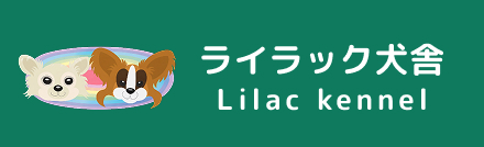 ライラック犬舎 -Lilac kennel-